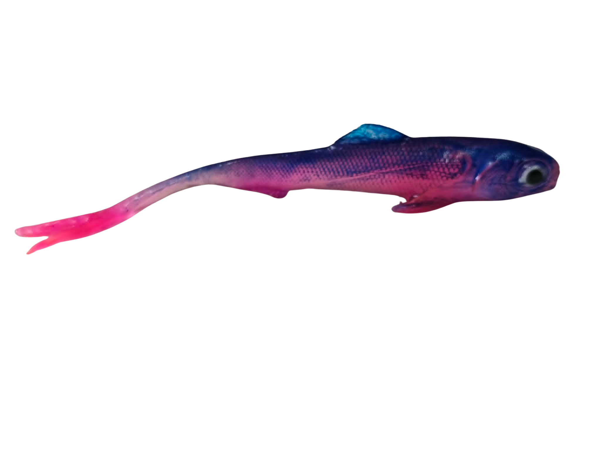 fiolet.png