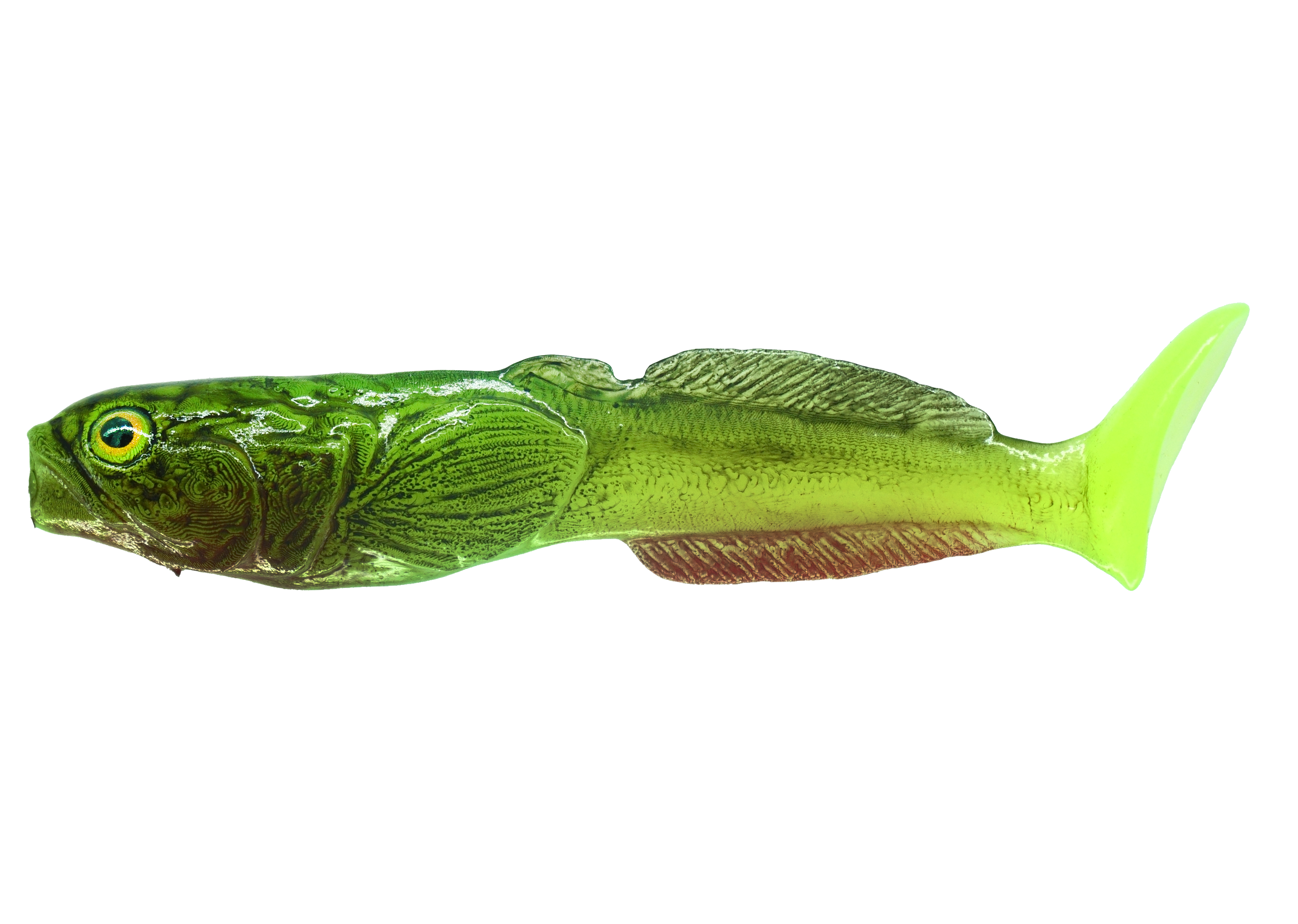 glowacz-green.png