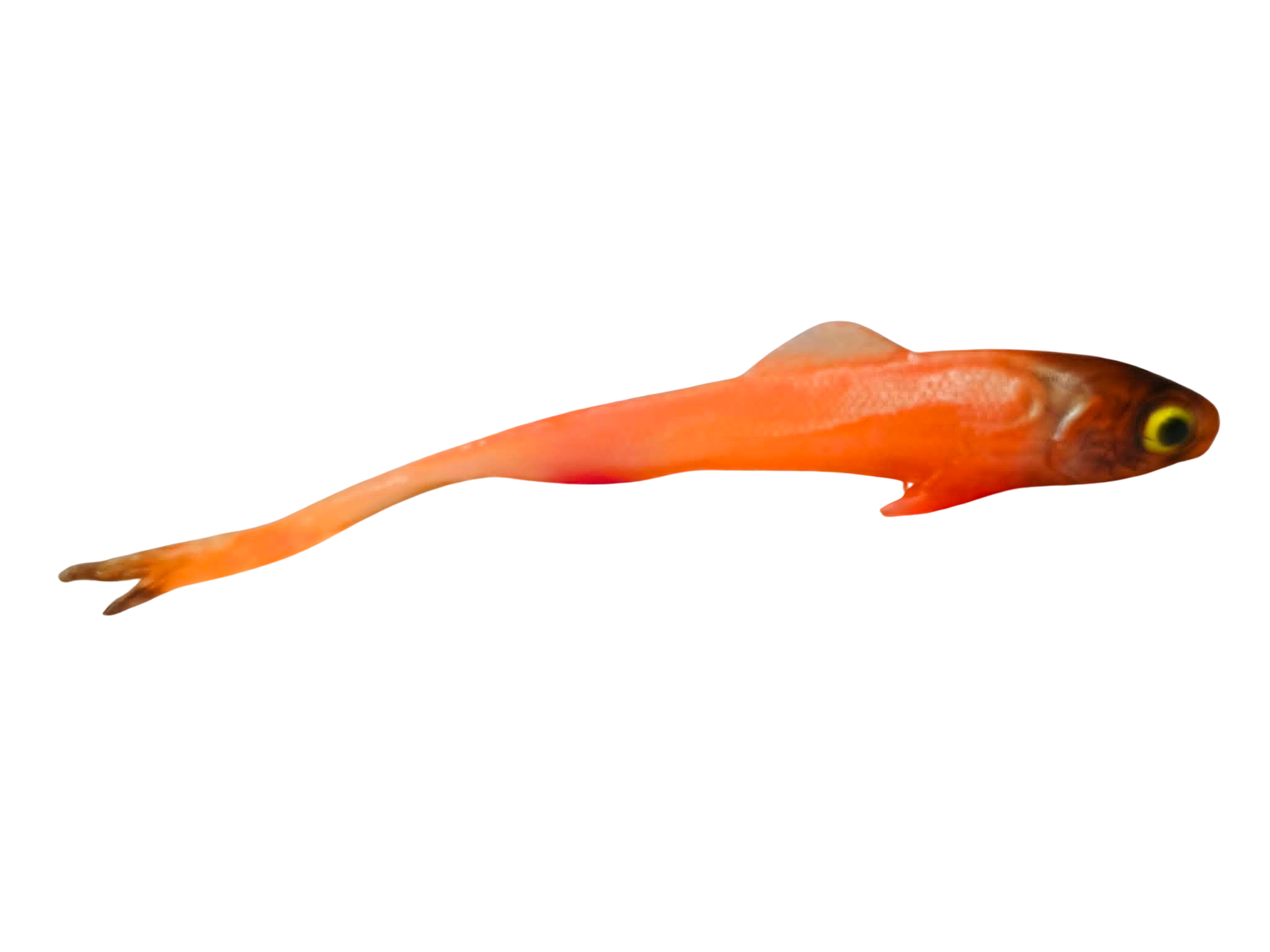 mnich.png