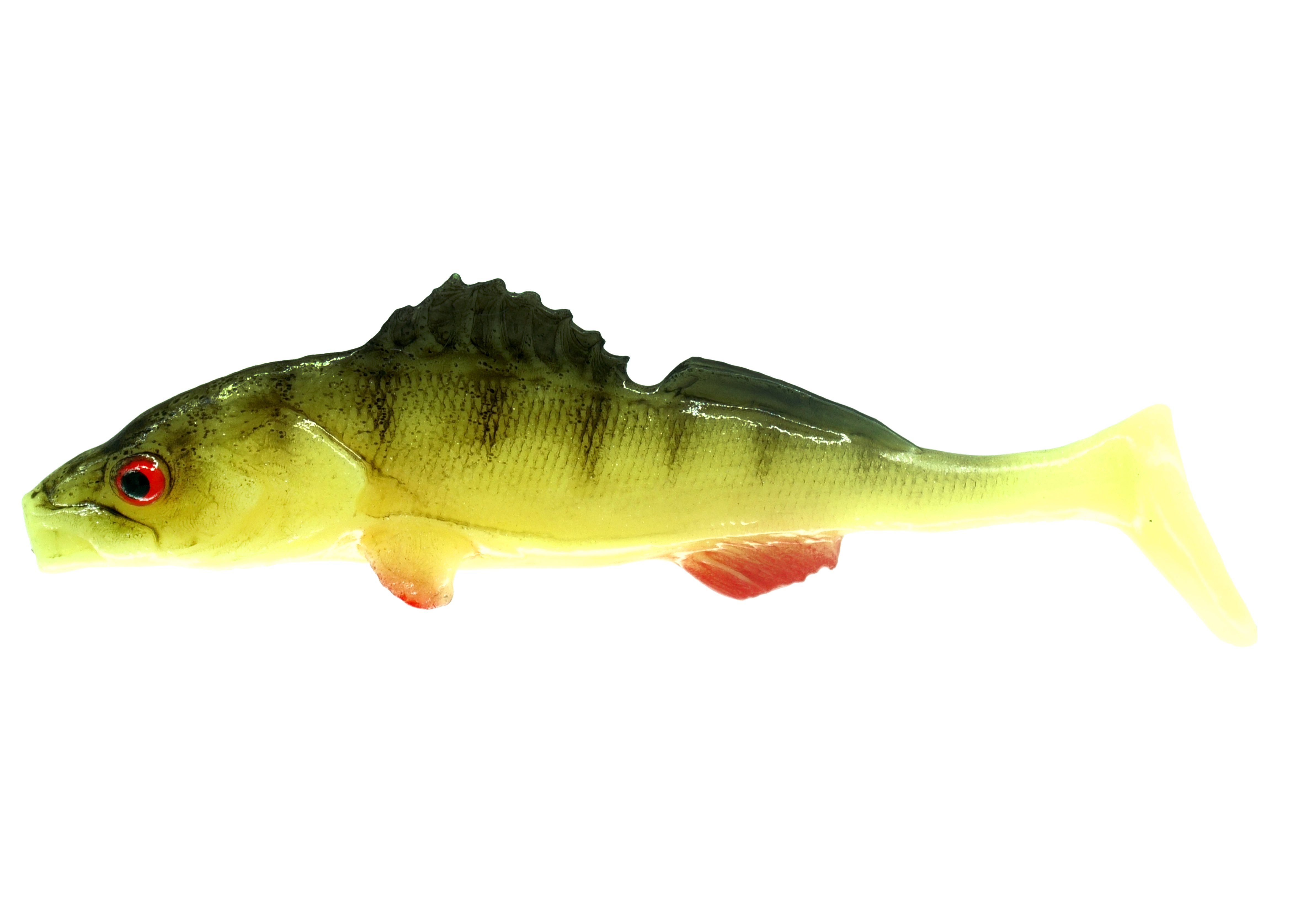 mrzed-yellow-tiger.png