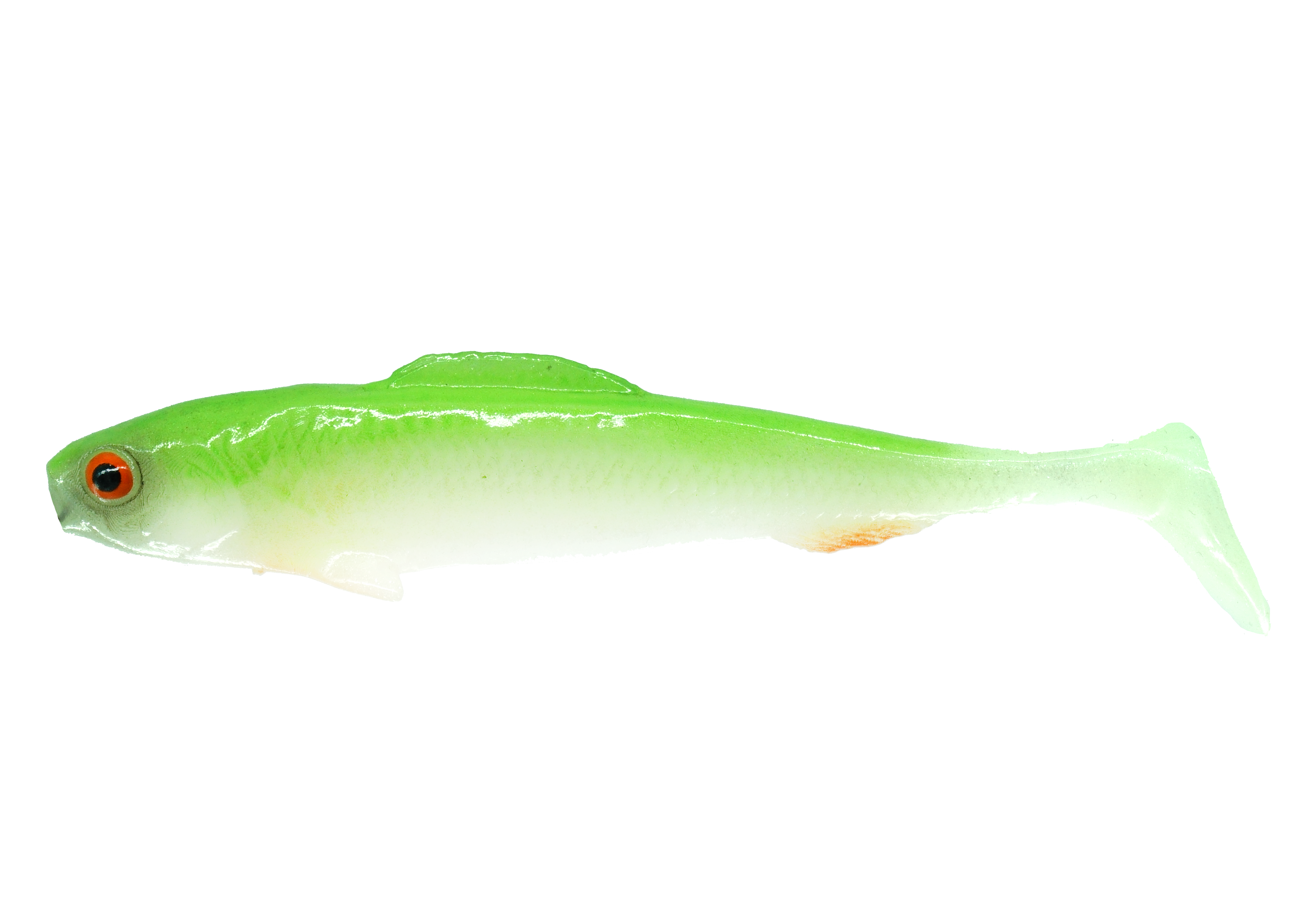 sardynka-neon.png