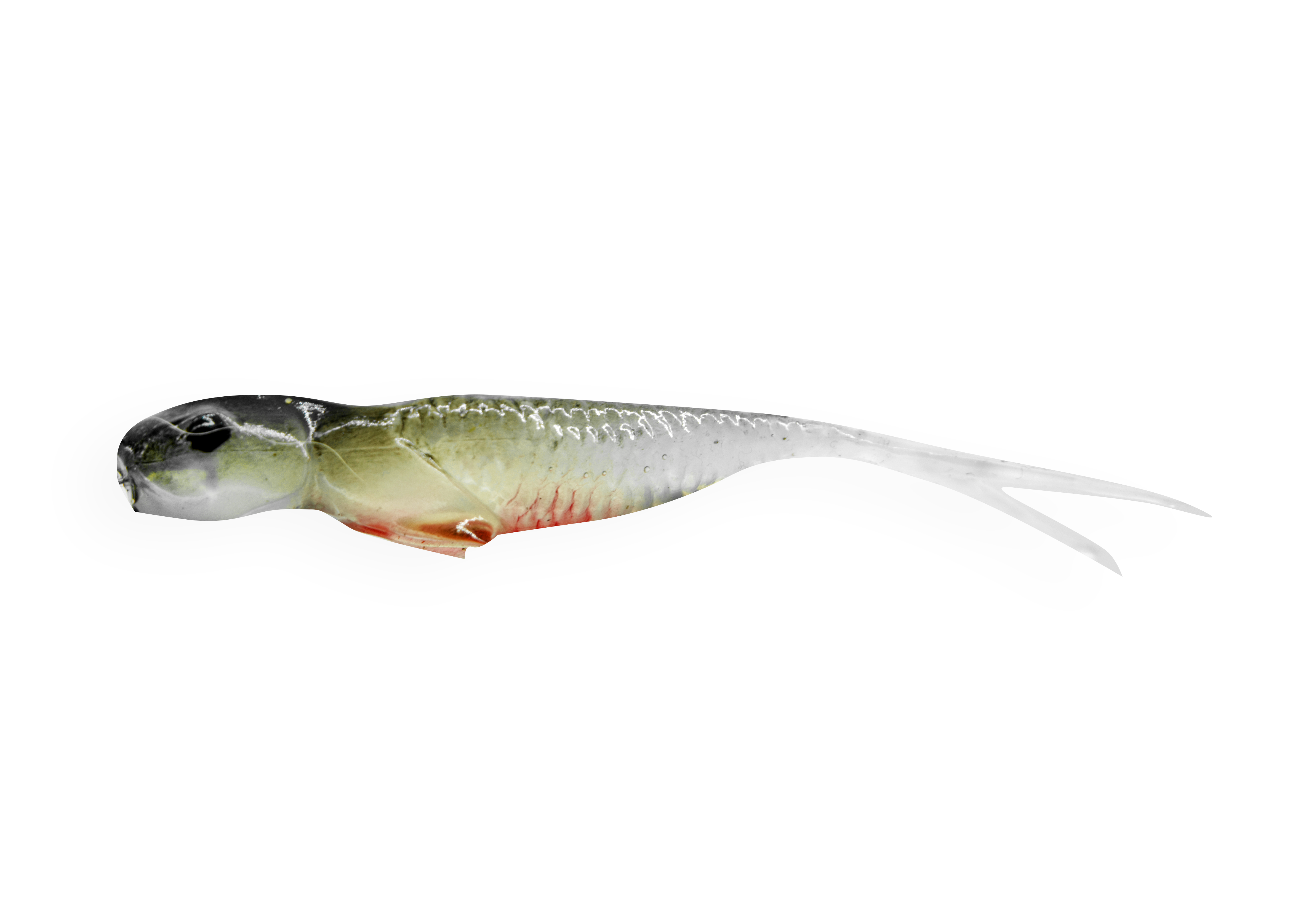 syrenka-jaskolka-ghost.png
