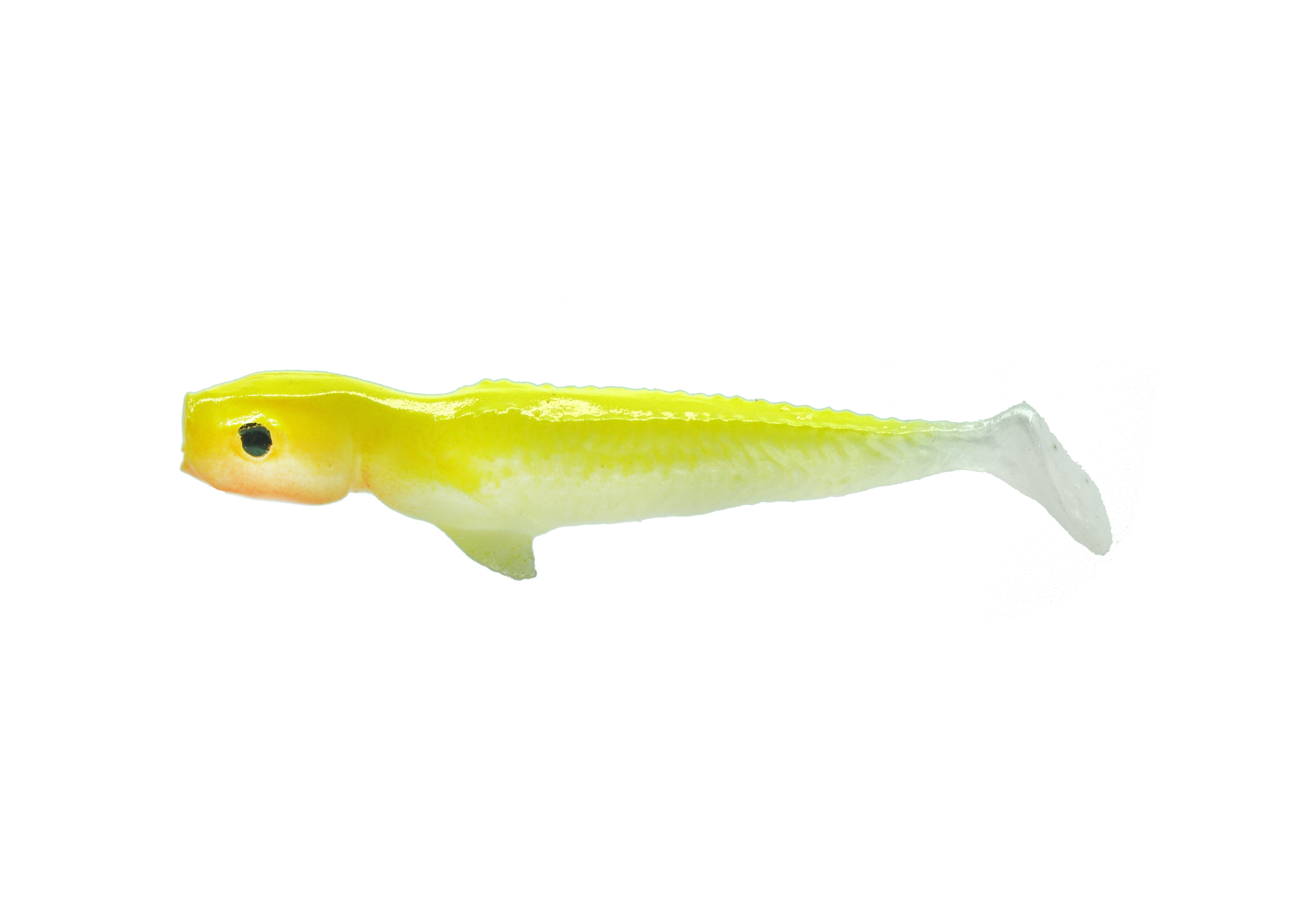 syrenka-shad-citruz.png